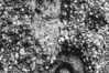 Die Richtung und Art des Lichts. Bildpaar: Born/Heine