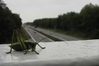 Videostandbild: Freie Fahrt
