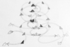 Kung Fu Bewegungstransformation aus der Wahrnehmung des Atems. Bild: Jana Schmidt