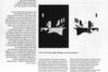 Katalogseite, 2 Lichtbilder, ausgestellt im Rahmen des Programms bildo medienkunst, Europäische Sommerakademie Meister des Lichts, Akademie der Künste Berlin 1992 